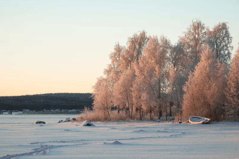 Luleå winter Zweeds Lapland