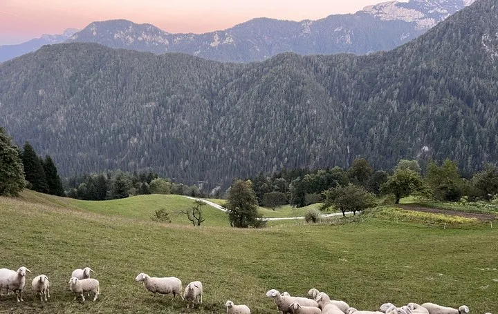 Slovenië_landschap