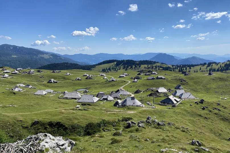 Slovenie met hond Velika Planina 