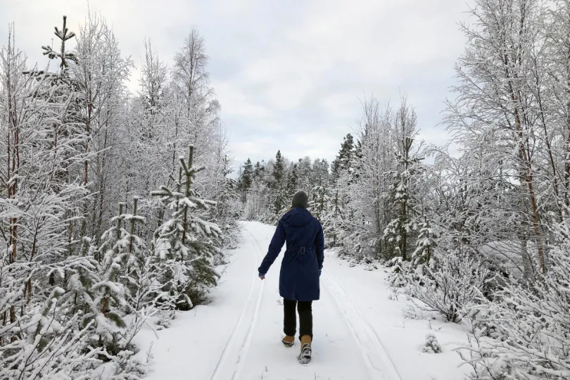 Wandeltocht winter Zweeds Lapland