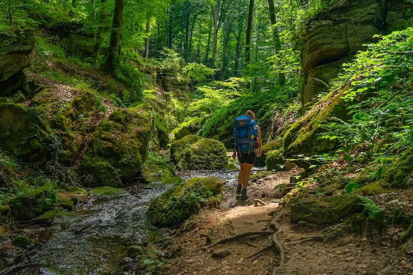 Groepsreis Mullerthal Trail Luxemburg