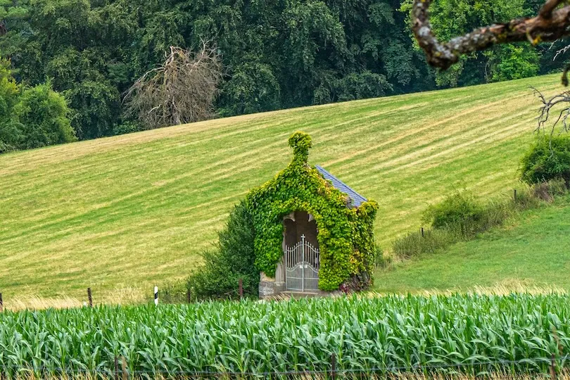 Groepsreis Mullerthal Tail Luxemburg