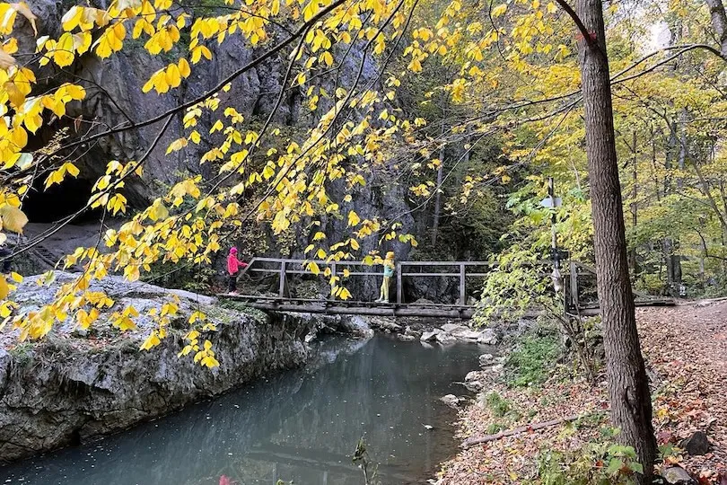 Varghis kloof Roemenië