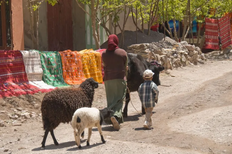 Marokko-locals met dieren