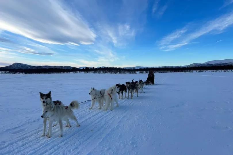 Zweeds Lapland