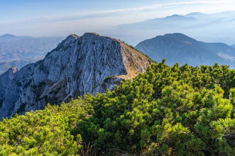 Uitzicht met bergen Roemenië