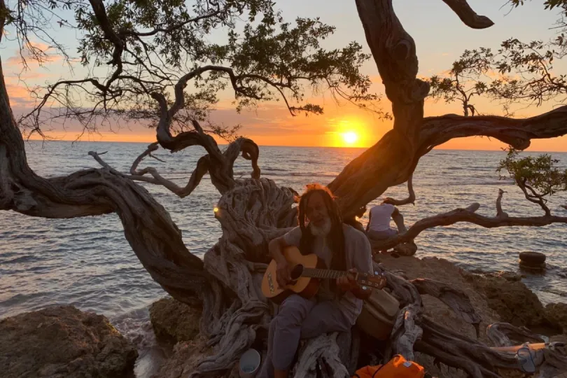 Gitarist bij boom in Jamaica