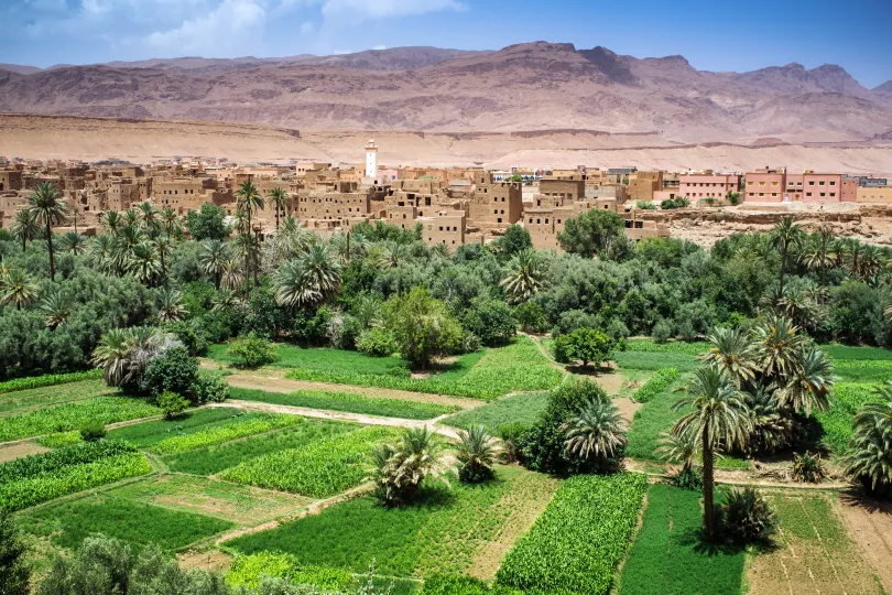 Groene oase Dades vallei Marokko