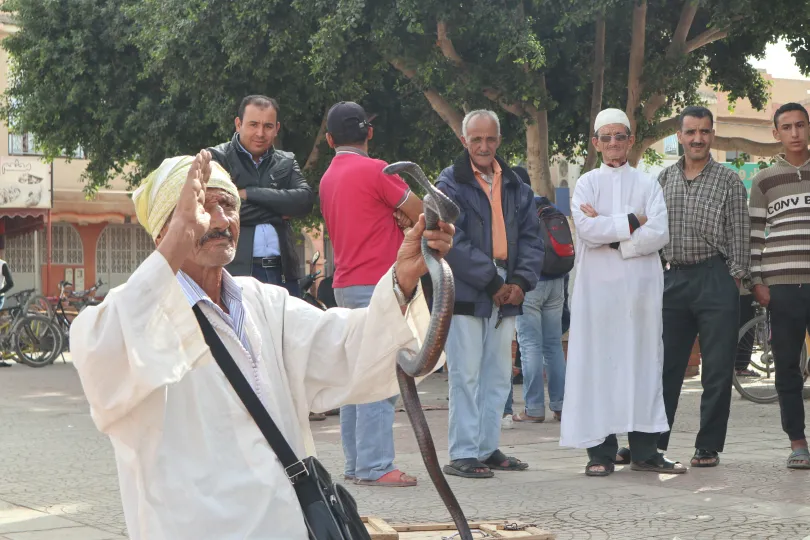 Man met slang in Taroudant Marokko