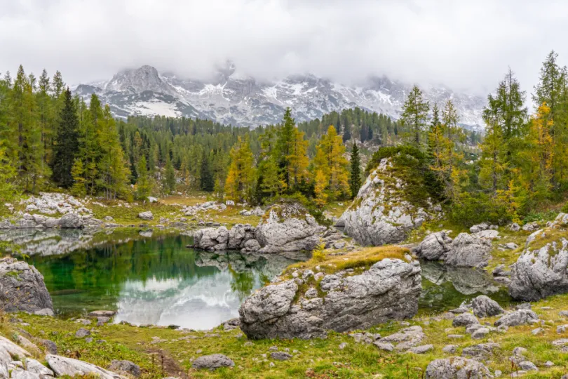 Mooie natuur in de bergen in Slovenië