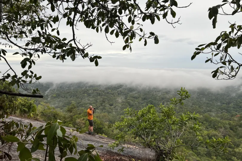 Suriname natuur