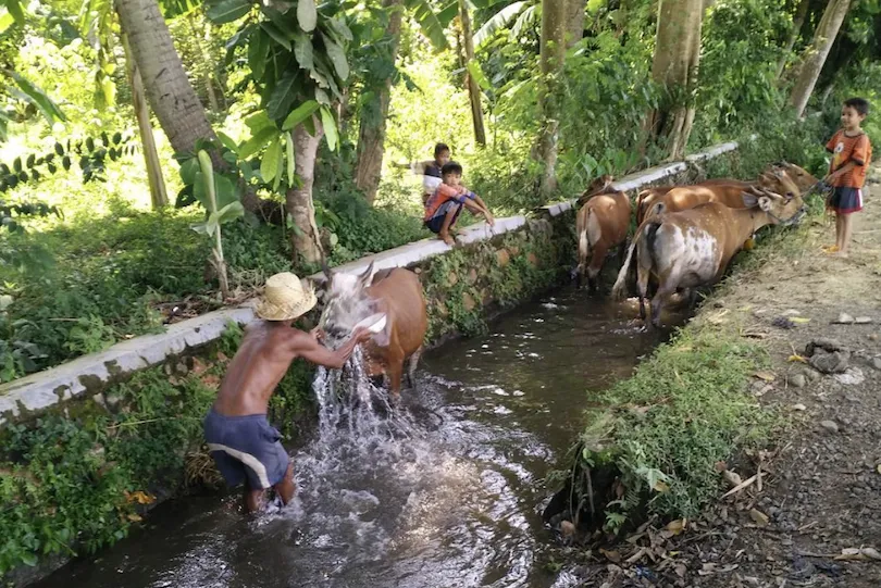Fietstour op Lombok met Putu