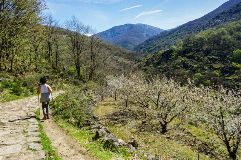 Sierra de Gredos Extremadura.