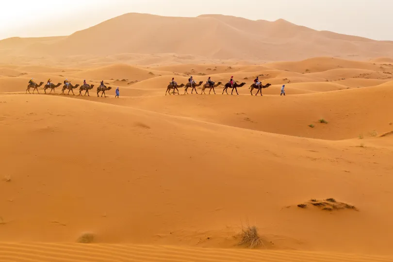 Merzouga kamelen.