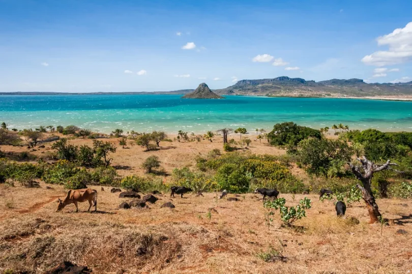 Vliegtickets Madagaskar - Drie Baaien.