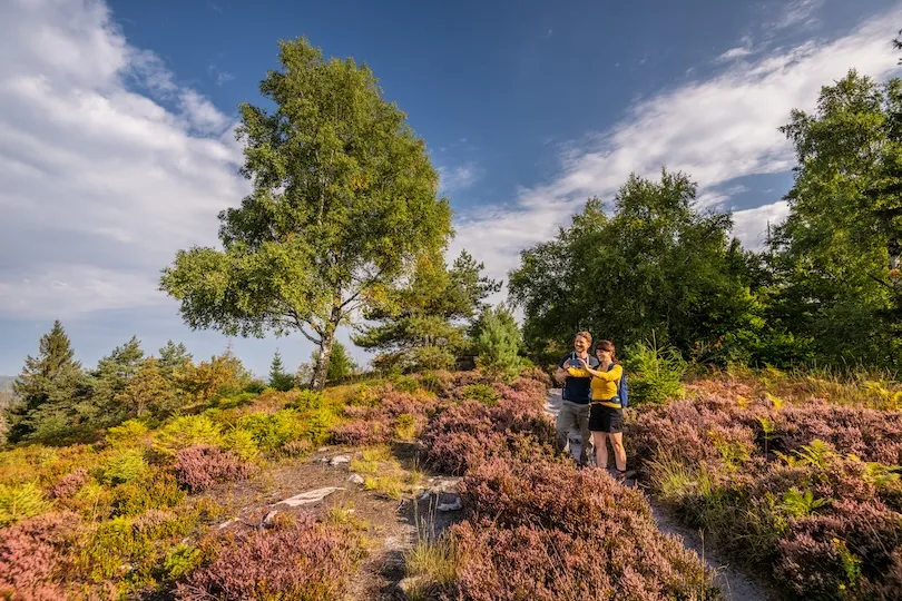  Lippischer Velmerstot Hermannshohen trektocht