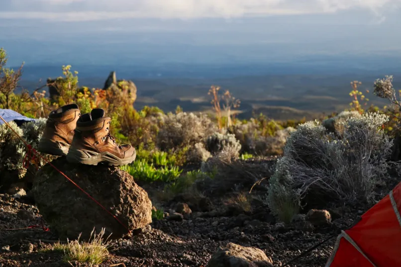 Tanzania routes Kilimanjaro - uitzicht kilimanjaro.