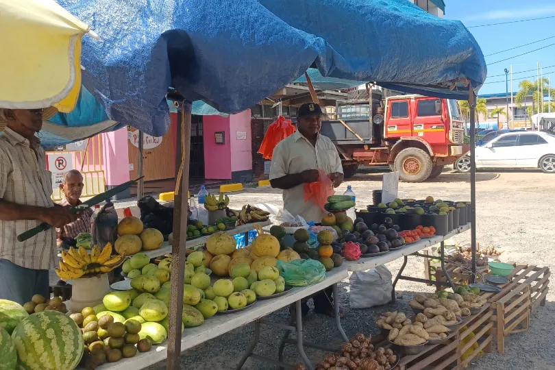 Vers fruit langs de weg in Suriname.