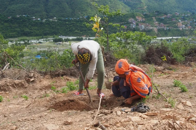 Bewoners die een kuil graven voor bosaanplant.
