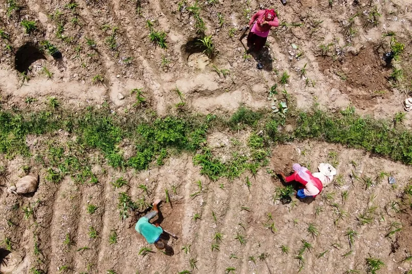 Community Plantation Project - locals aan het verbouwen.