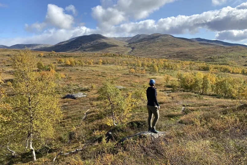Kungsleden hiken in Zweden