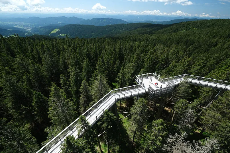 Treetop walk Rogla Pohorje Slovenië.