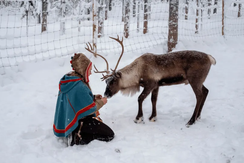 Winter Zweeds Lapland - Sami bewoner met een rendier in de sneeuw.