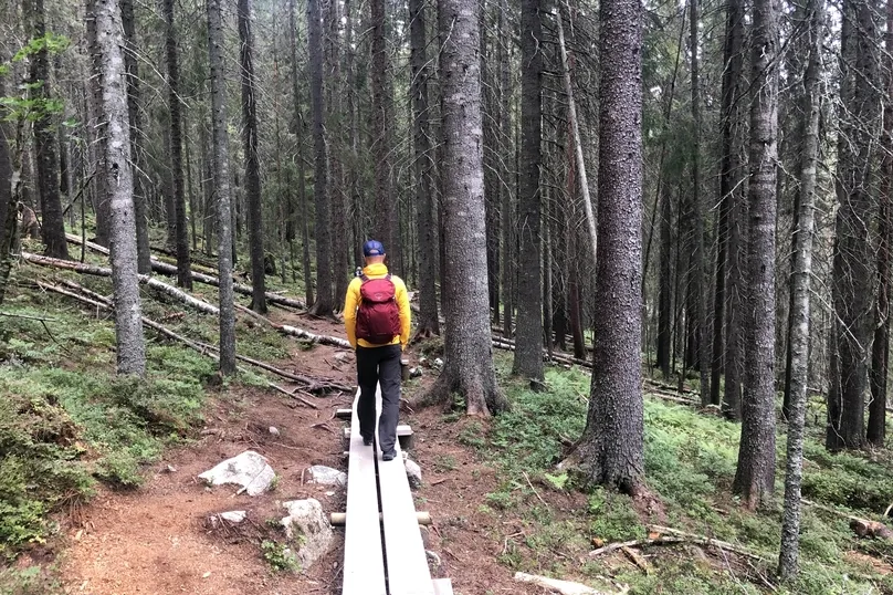 Skuleskogen Zweden.