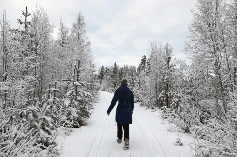 Wandeltocht winter Zweeds Lapland.
