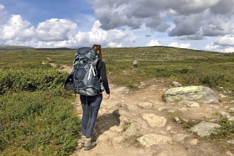 Jämtlandstriangeln hiken in Zweden.