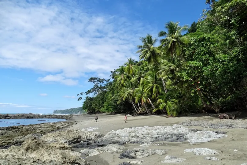 Corcovado strand Costa Rica.