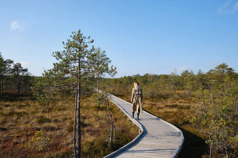 Wandelaar in Lahemaa National Park.