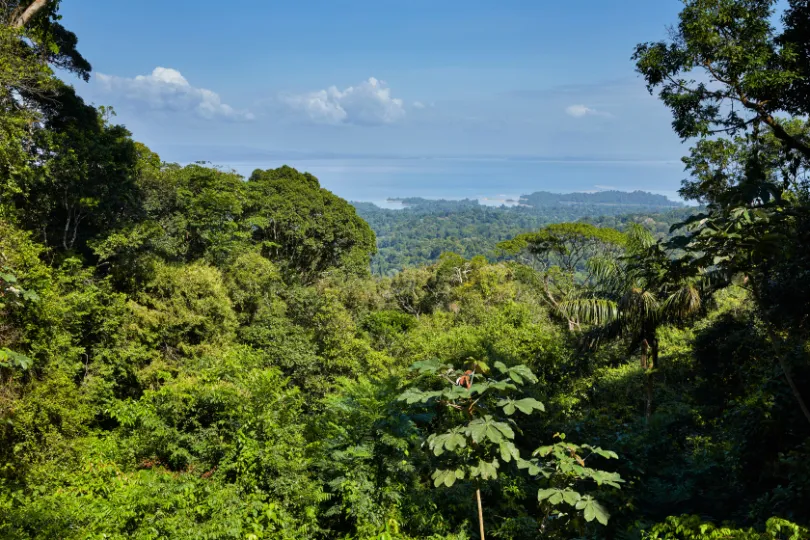 Suriname Brownsberg National Park