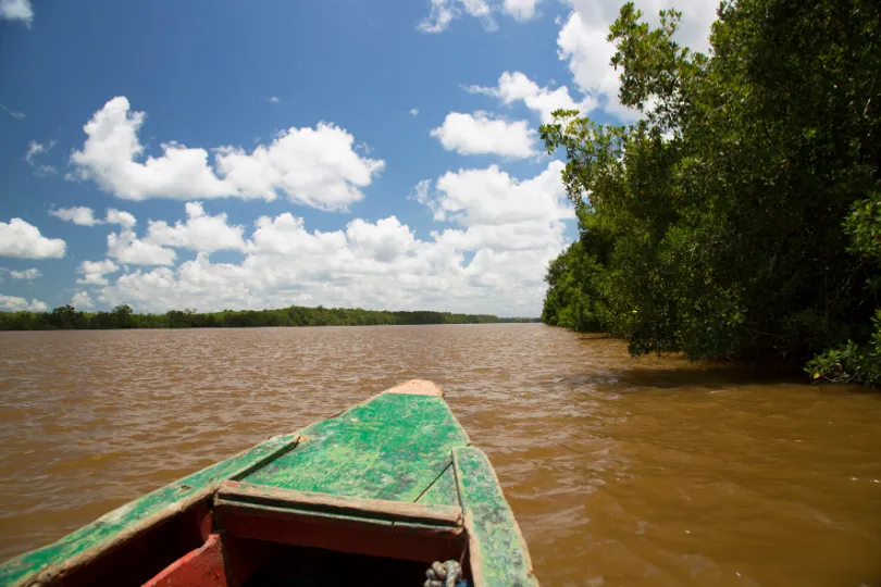 Korjaal in Suriname.