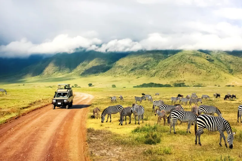 Safari-Jeep im Ngorongoro-Nationalpark mit Zebras.