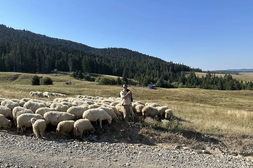 Platteland Roemenië
