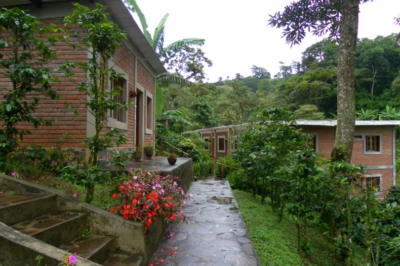 Aguas Del Arenal - Nicaragua.