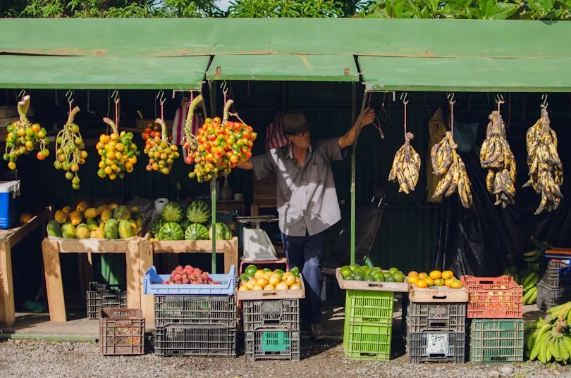 vegetarisch eten in Costa rica