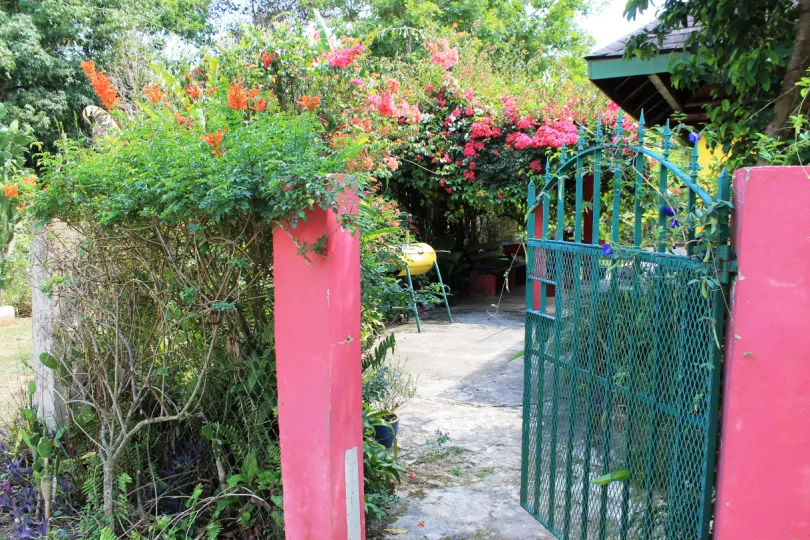 Homestay 3 Little Birds - Hotels Jamaica.