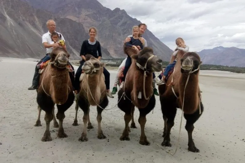 Beste reistijd Ladakh - reizigers op kamelen in Nubra.