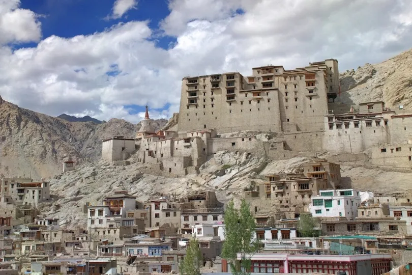 Bijzondere rondreis Ladakh - gebouwen in de stad Leh.