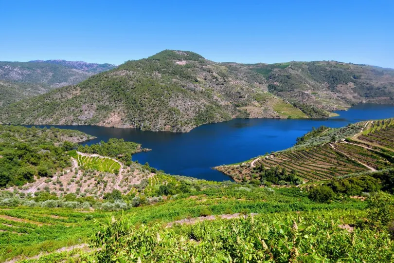 Uitzicht over Douro-vallei in Portugal.