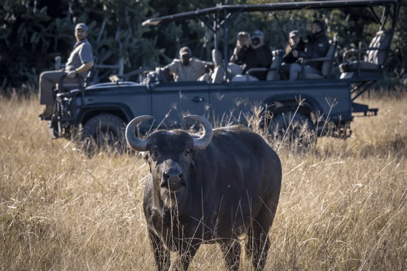 Accommodatie in Zuid-Afrika.