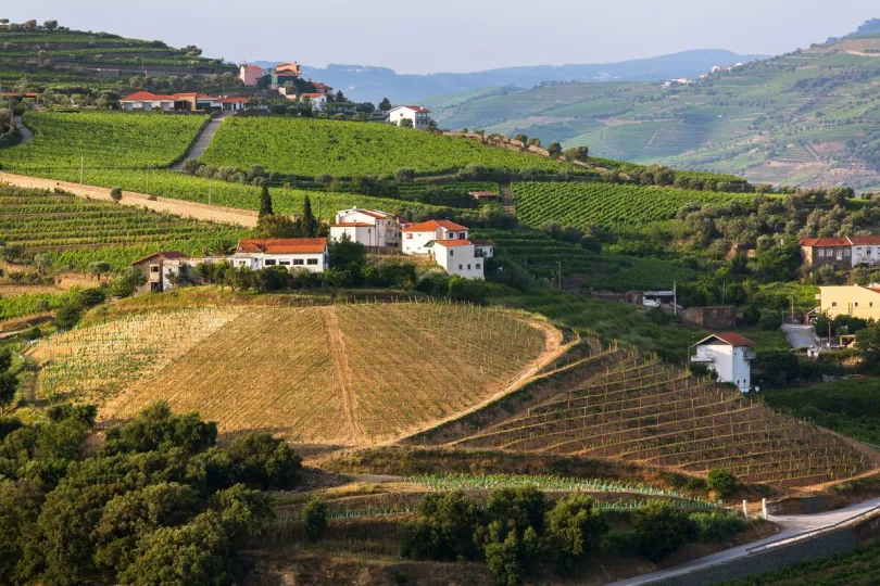 Douro vallei in Portugal.