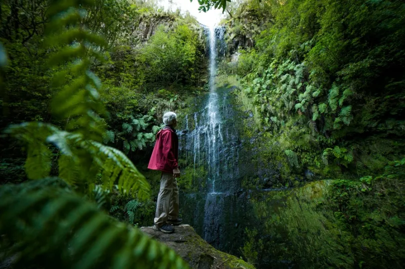 Wandelen activiteit Madeira