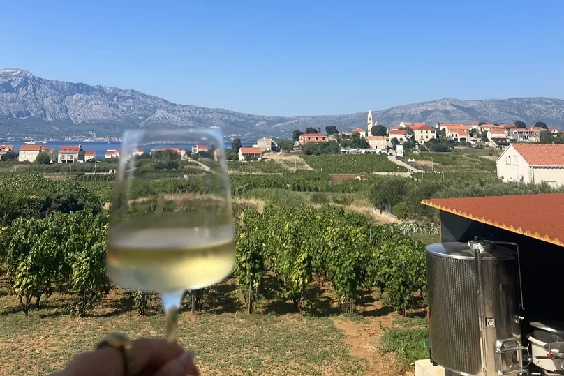 Wijnglas met een wijngaard op de achtergrond op Korcula.
