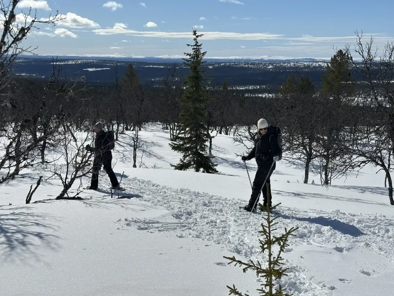 Sneeuwschoenwandelen