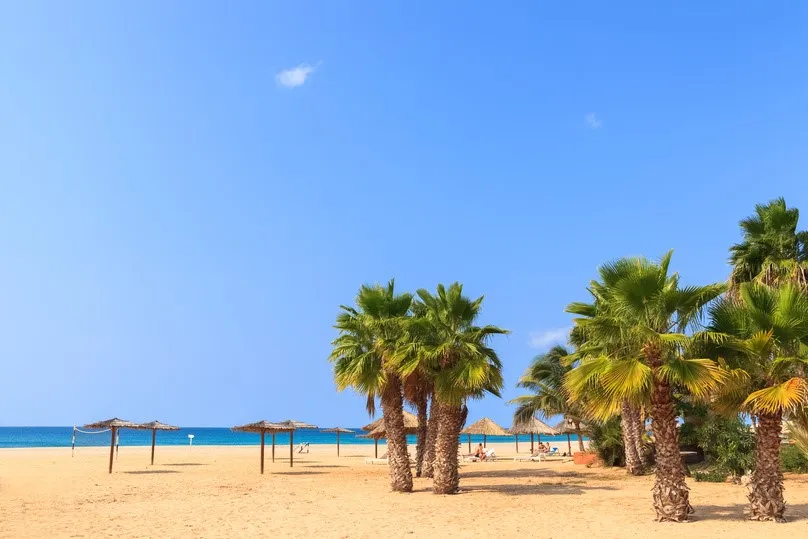 Uitzicht over een prachtig strand met palmbomen en helderblauw water in Boavista.