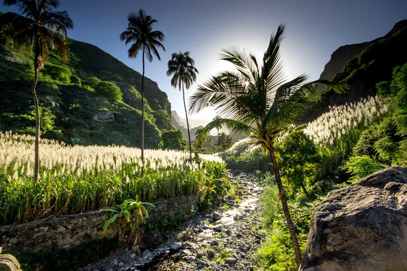Landschap met palmbomen in Santiago Ribeira Grande.