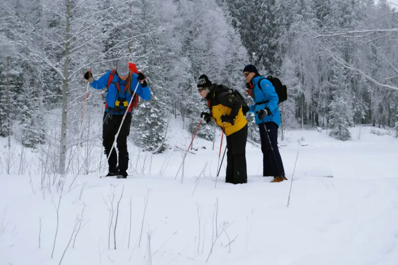 Dagexcursie winterreis Zweden
